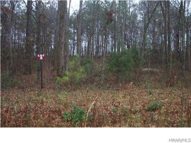 311 BRIERFIELD Frst DR  