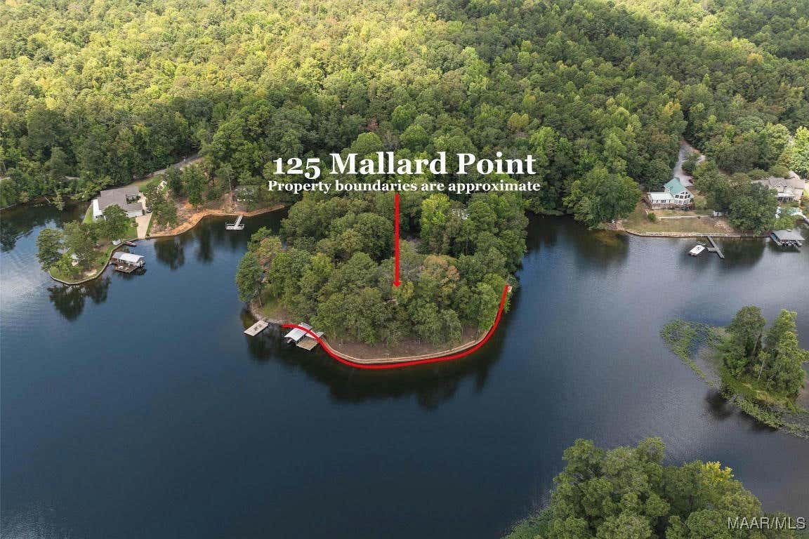 125 MALLARD POINT DR, TITUS, AL 36080, photo 1 of 72