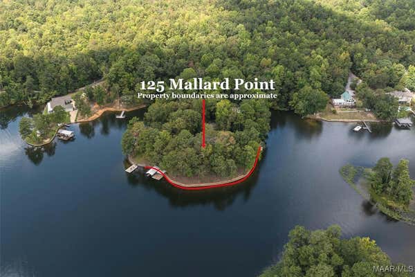 125 MALLARD POINT DR, TITUS, AL 36080 - Image 1