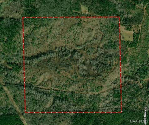 158.90 COUNTY ROAD 84 CIRCLE, SELMA, AL 36703 - Image 1