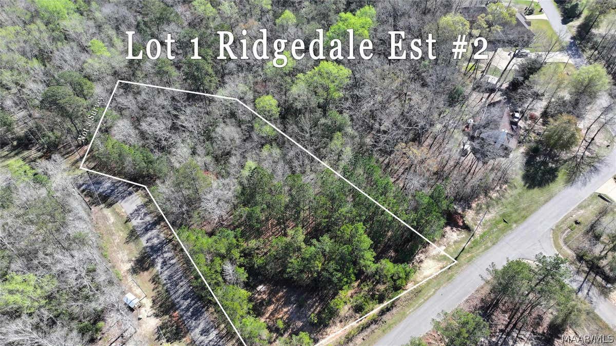 1 RIDGEDALE LN # 2, DEATSVILLE, AL 36022, photo 1 of 16