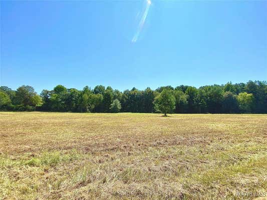 2016 EH HUNT RD, DEATSVILLE, AL 36022 - Image 1