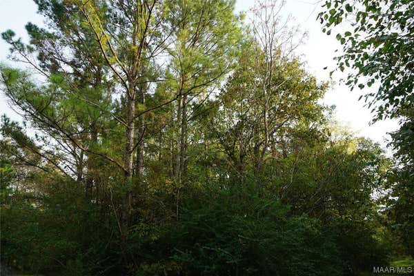 110 WINCHESTER TRCE, MATHEWS, AL 36052 - Image 1