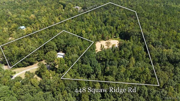 448 SQUAW RIDGE RD, ECLECTIC, AL 36024 - Image 1