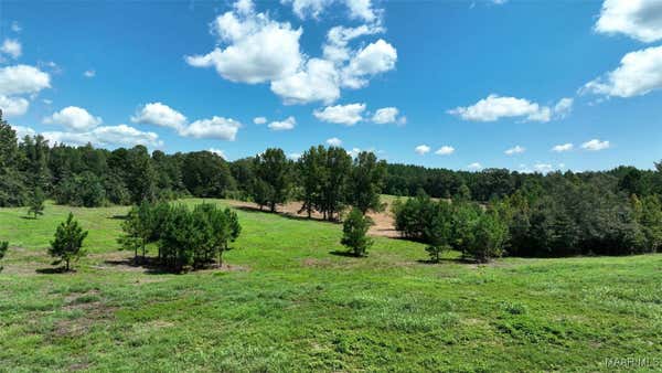 4190 COUNTY ROAD 252, CLANTON, AL 35046 - Image 1