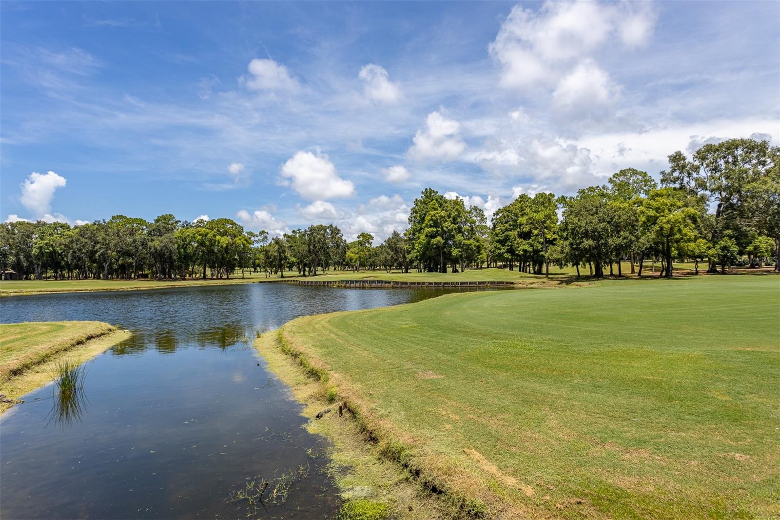 Palm Harbor, Florida, 34683, United States, 4 Bedrooms Bedrooms, ,3 BathroomsBathrooms,Residential,Active,1905355