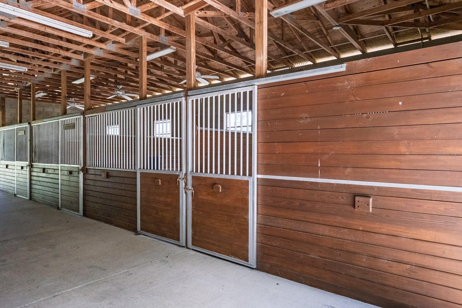 Tarpon Springs, Florida, 34688, United States, 4 Bedrooms Bedrooms, ,4 BathroomsBathrooms,Residential,Active,1841287