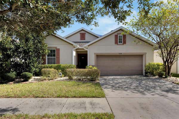 11538 TANGLE BRANCH LN, GIBSONTON, FL 33534 - Image 1