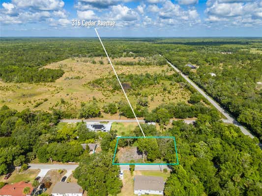 316 CEDAR AVE, OAK HILL, FL 32759 - Image 1