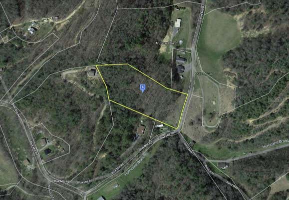 1590 BLUE MILL RD, DEL RIO, TN 37727 - Image 1