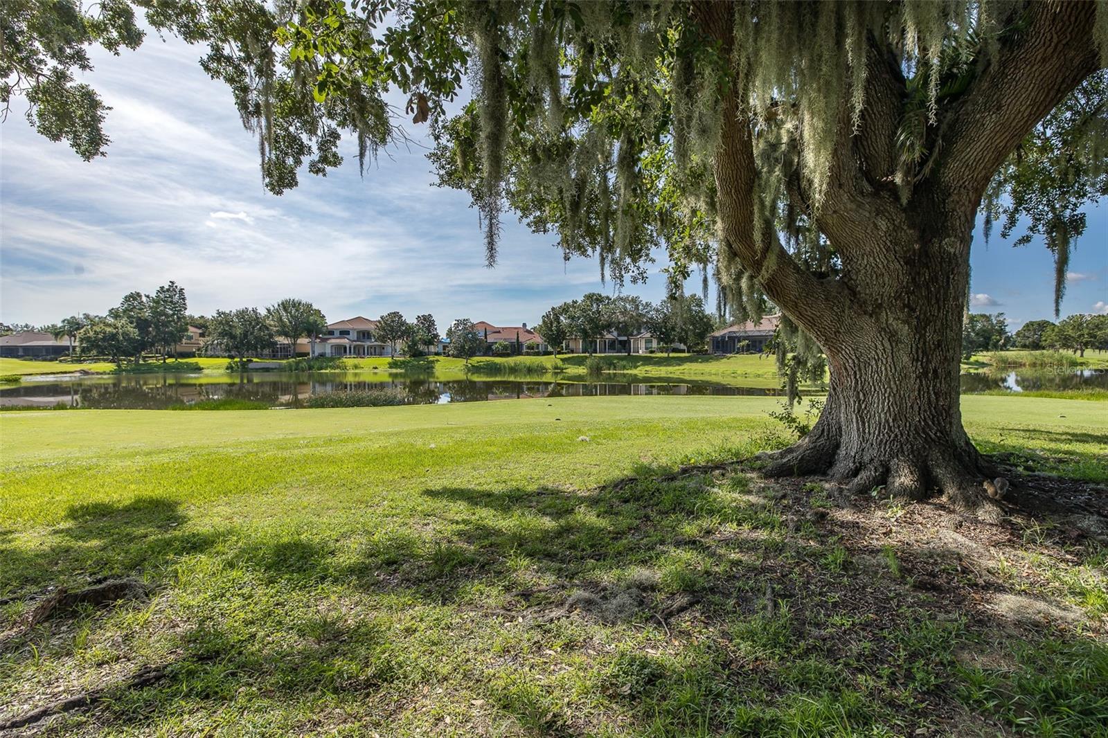 Trinity, Florida, 34655, United States, 4 Bedrooms Bedrooms, ,4 BathroomsBathrooms,Residential,Active,1892429