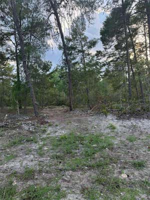 LOT #4 SE 145TH COURT, MORRISTON, FL 32668 - Image 1