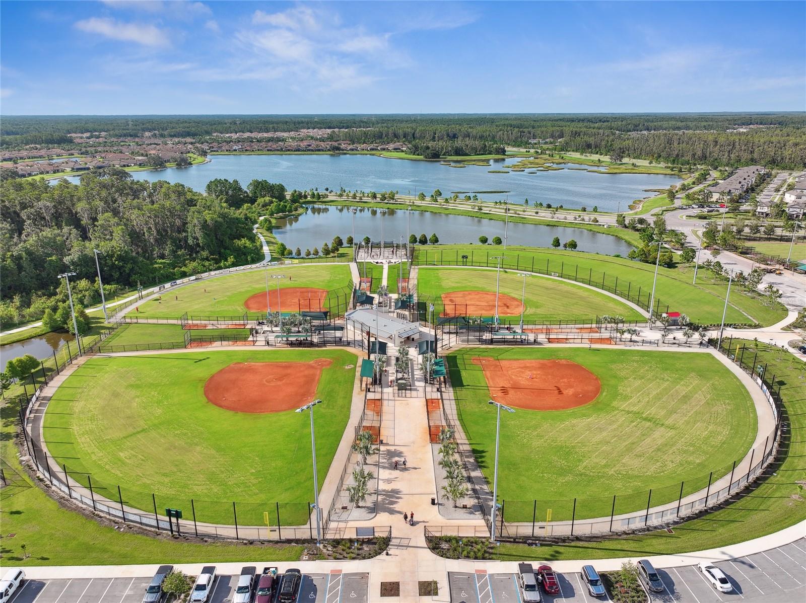 Odessa, Florida, 33556, United States, ,4 BathroomsBathrooms,Residential,Active,1869150