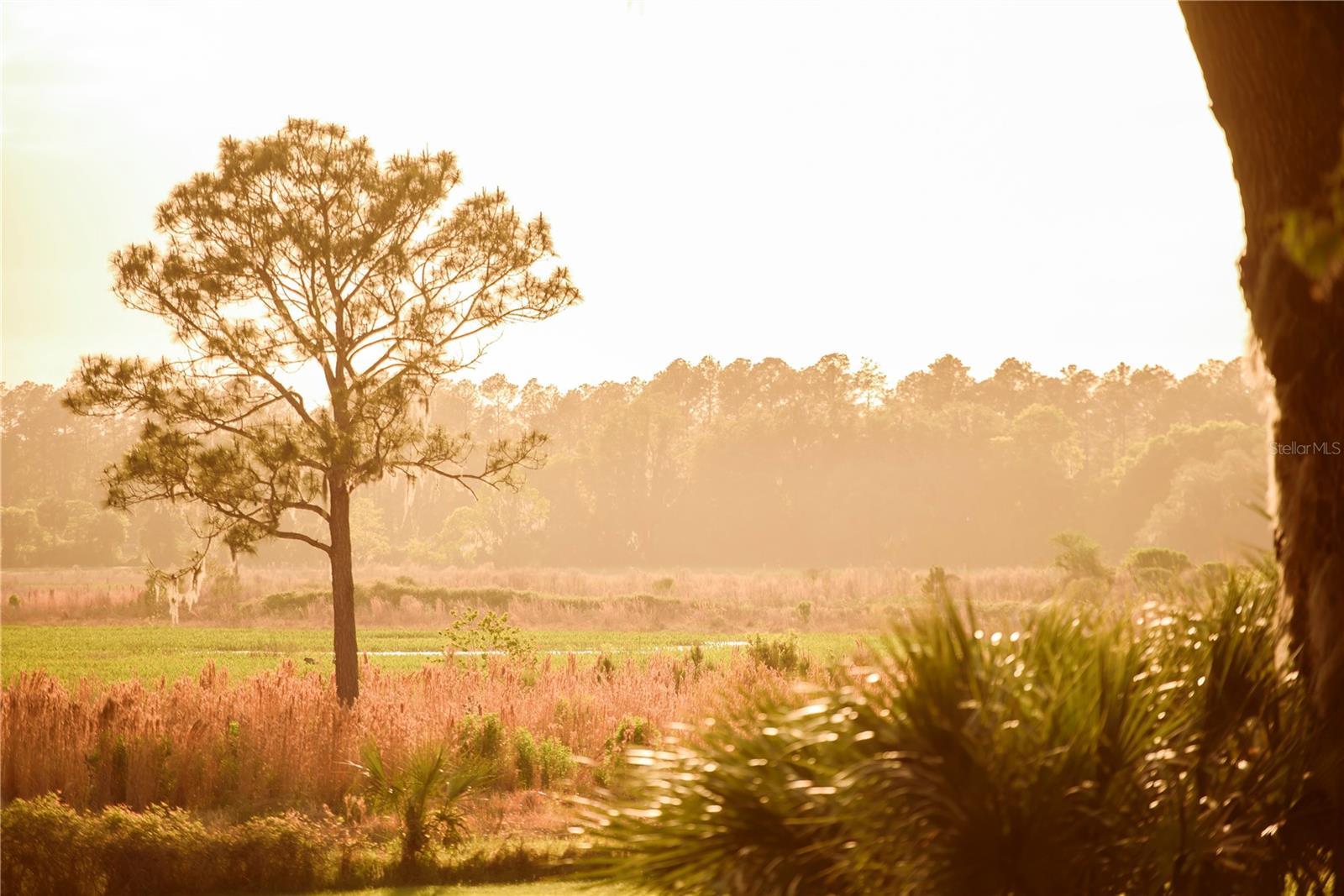 Gainesville, Florida, 32608, United States, 4 Bedrooms Bedrooms, ,3 BathroomsBathrooms,Residential,Active,1989761