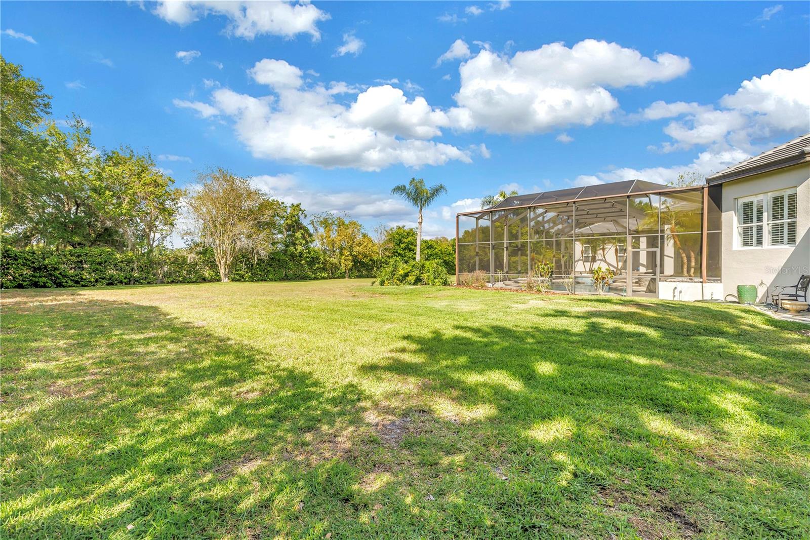 Odessa, Florida, 33556, United States, 4 Bedrooms Bedrooms, ,5 BathroomsBathrooms,Residential,Active,2035068