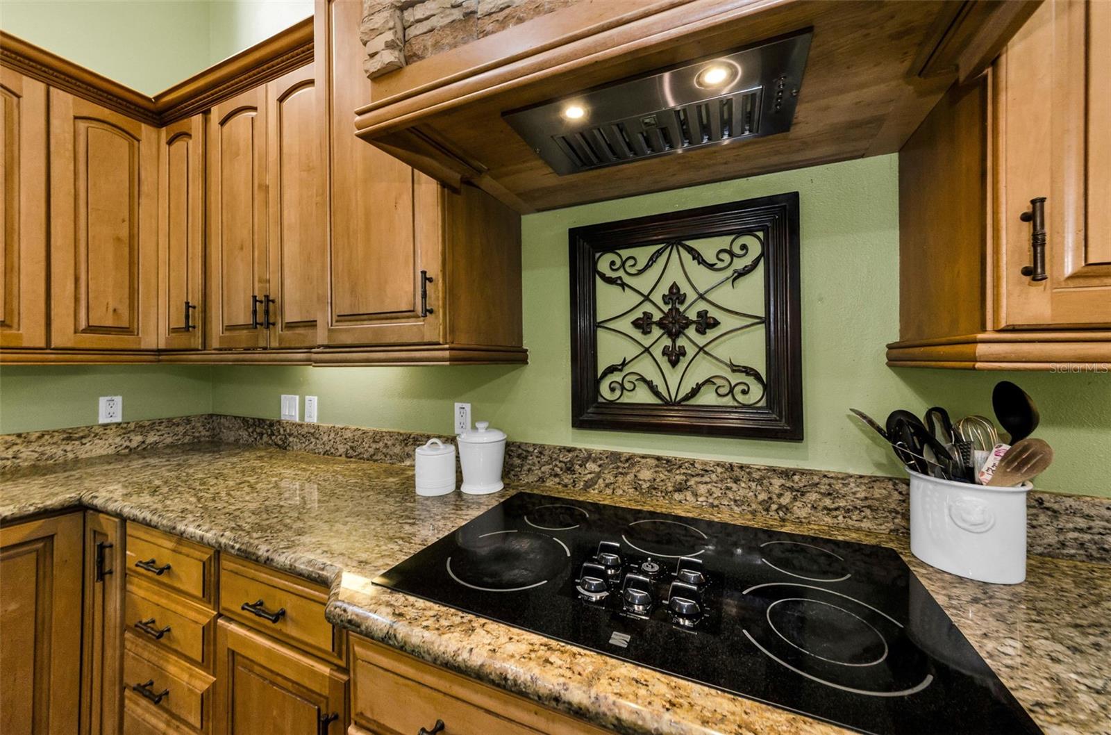 Holiday, Florida, 34691, United States, 4 Bedrooms Bedrooms, ,4 BathroomsBathrooms,Residential,Active,1961940