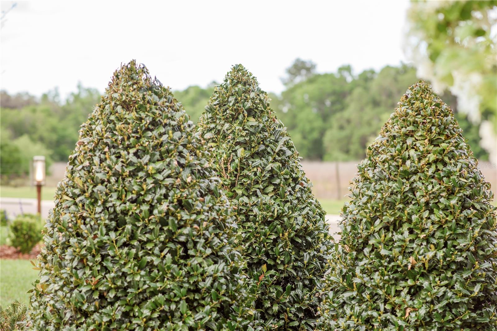 Gainesville, Florida, 32608, United States, 4 Bedrooms Bedrooms, ,3 BathroomsBathrooms,Residential,Active,1989761