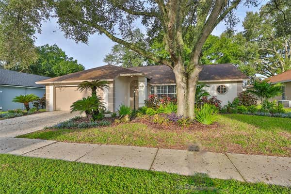 28211 TANGLEWOOD DR, WESLEY CHAPEL, FL 33543 - Image 1