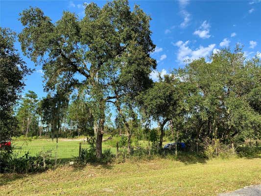 LOT 4 SAFFRON AVENUE, EUSTIS, FL 32736, photo 2 of 27