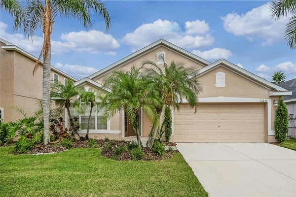 12233 BISHOPSFORD DR, TAMPA, FL 33626 - Image 1