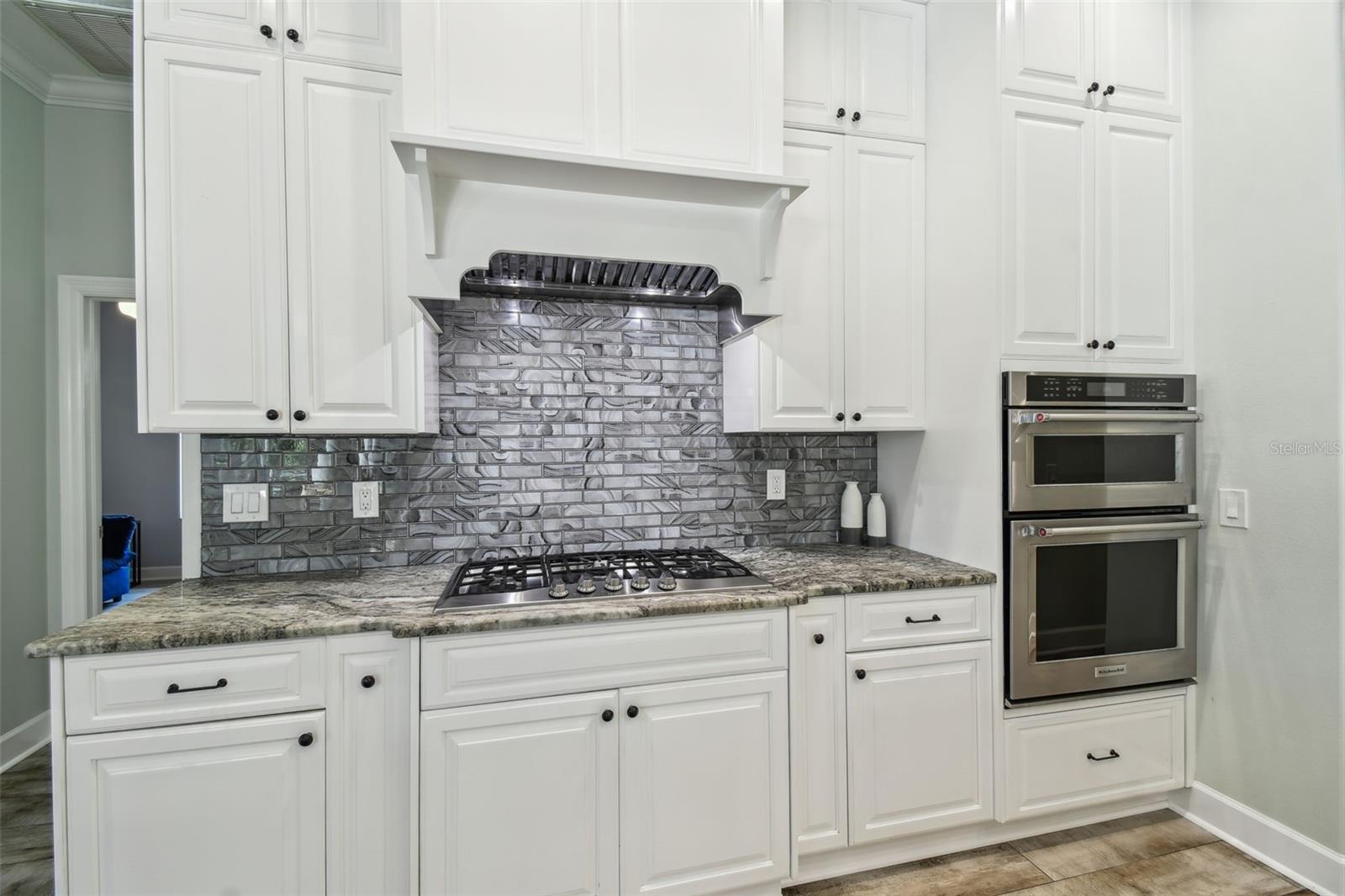 Odessa, Florida, 33556, United States, 5 Bedrooms Bedrooms, ,4 BathroomsBathrooms,Residential,Active,1884999