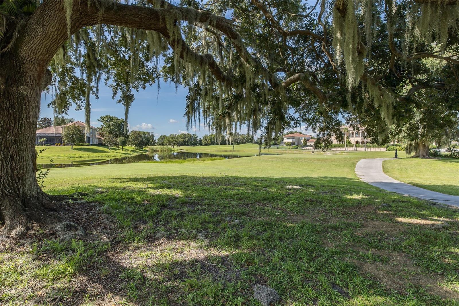 Trinity, Florida, 34655, United States, 4 Bedrooms Bedrooms, ,4 BathroomsBathrooms,Residential,Active,1892429