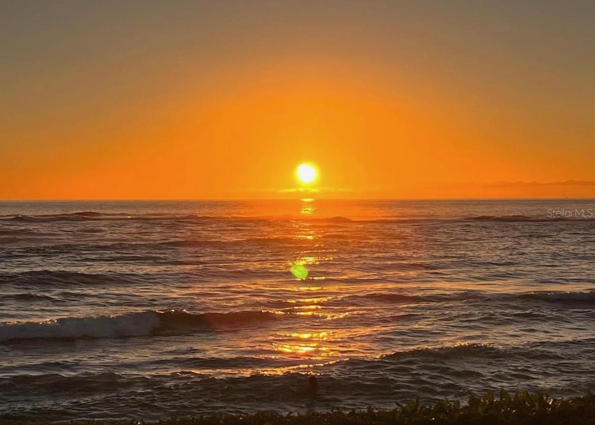 Orlando, Florida, 32836, United States, 6 Bedrooms Bedrooms, ,8 BathroomsBathrooms,Residential,Active,1988458