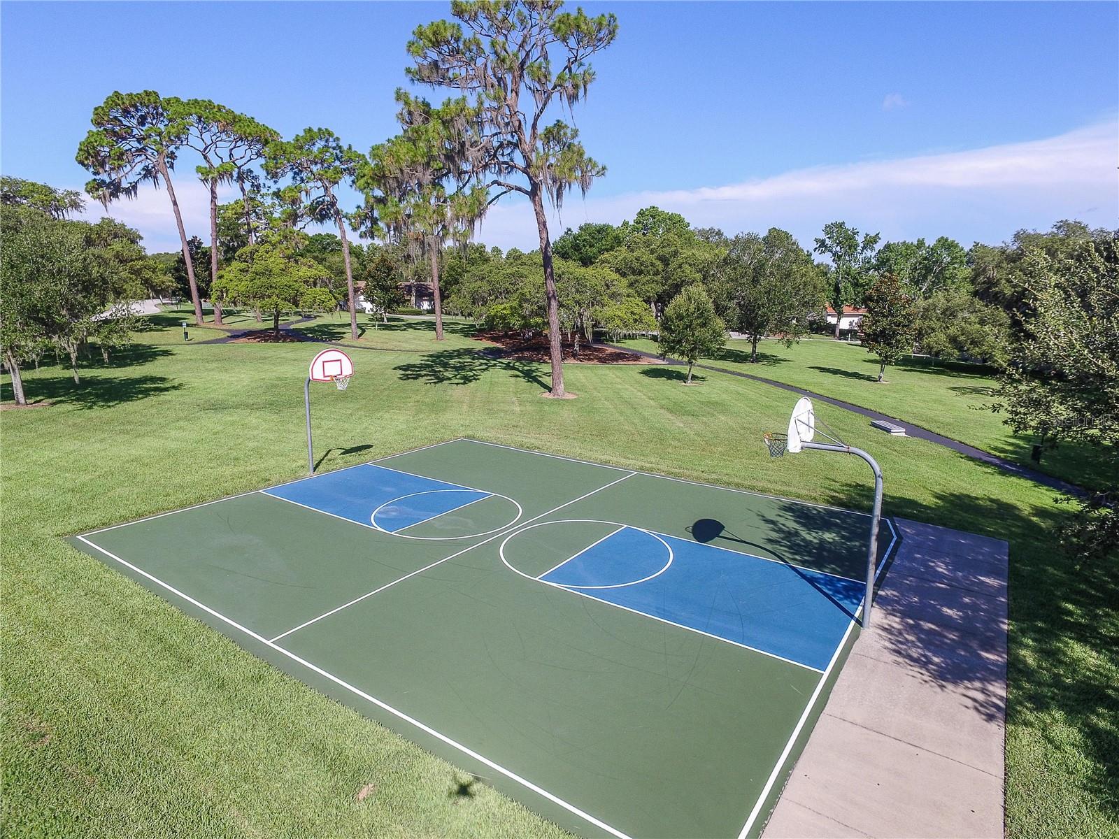 Palm Harbor, Florida, 34684, United States, 4 Bedrooms Bedrooms, ,4 BathroomsBathrooms,Residential,Active,1936412