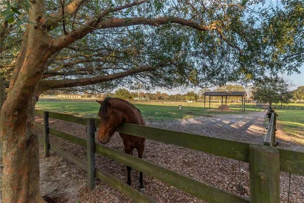 1080 NW 114TH ST, OCALA, FL 34475, photo 3 of 82