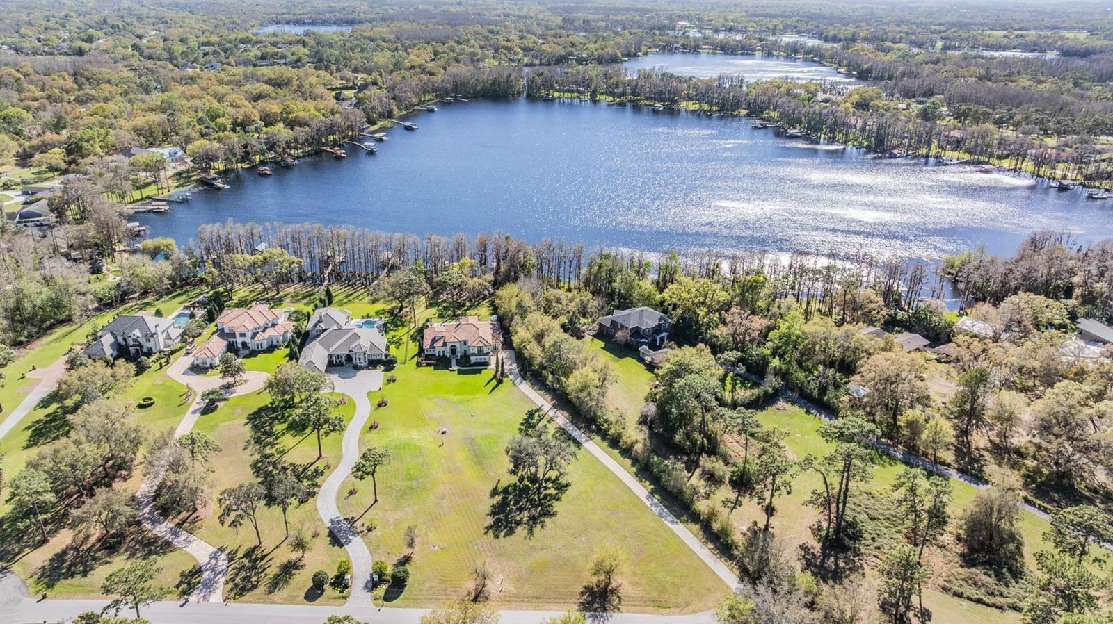 Odessa, Florida, 33556, United States, 5 Bedrooms Bedrooms, ,4 BathroomsBathrooms,Residential,Active,1797950