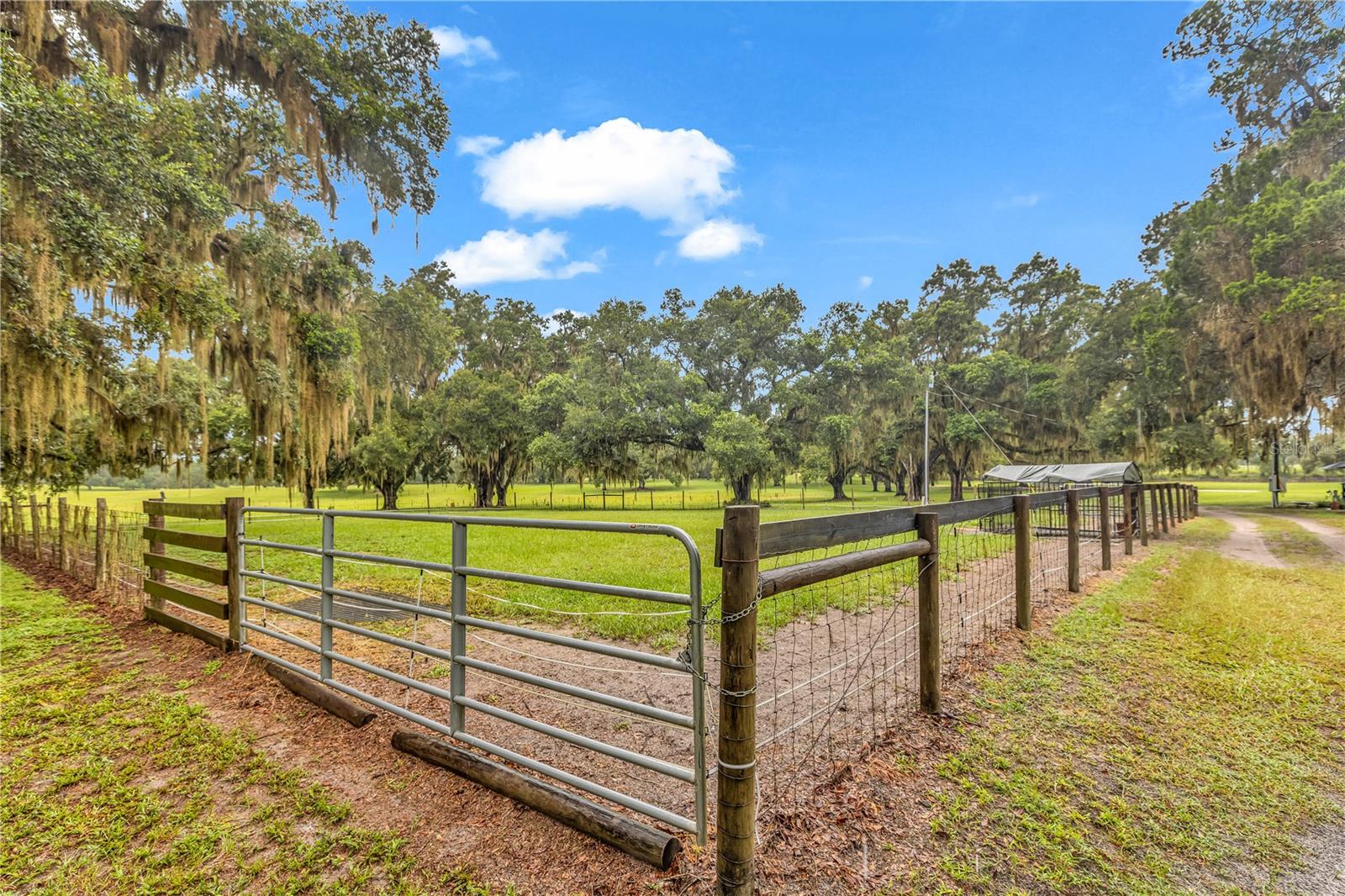 Crystal River, Florida, 34428, United States, 6 Bedrooms Bedrooms, ,5 BathroomsBathrooms,Residential,Active,1945058