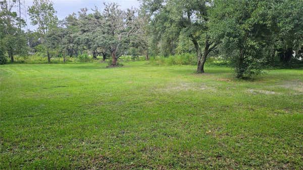 11102 PIERCE LAKE RD, LAND O LAKES, FL 34638 - Image 1