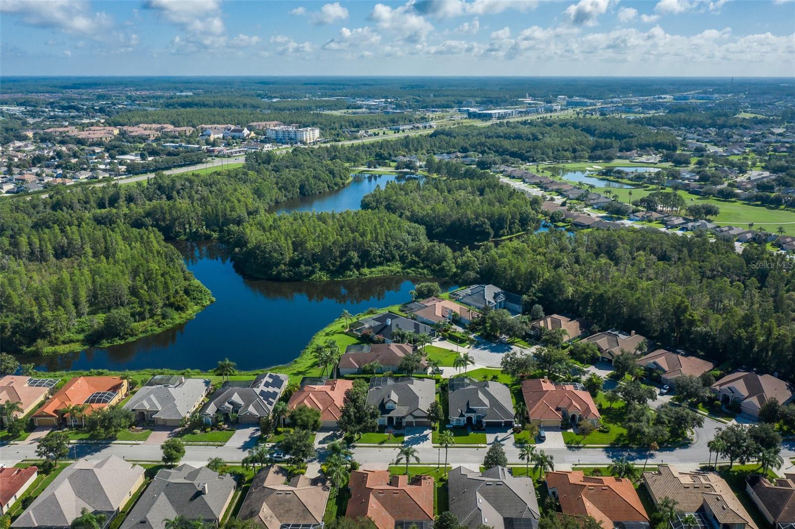 Trinity, Florida, 34655, United States, 5 Bedrooms Bedrooms, ,4 BathroomsBathrooms,Residential,Active,1922329