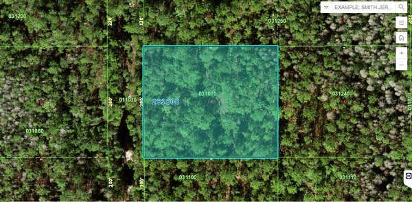 N/A, POLK CITY, FL 33868 - Image 1