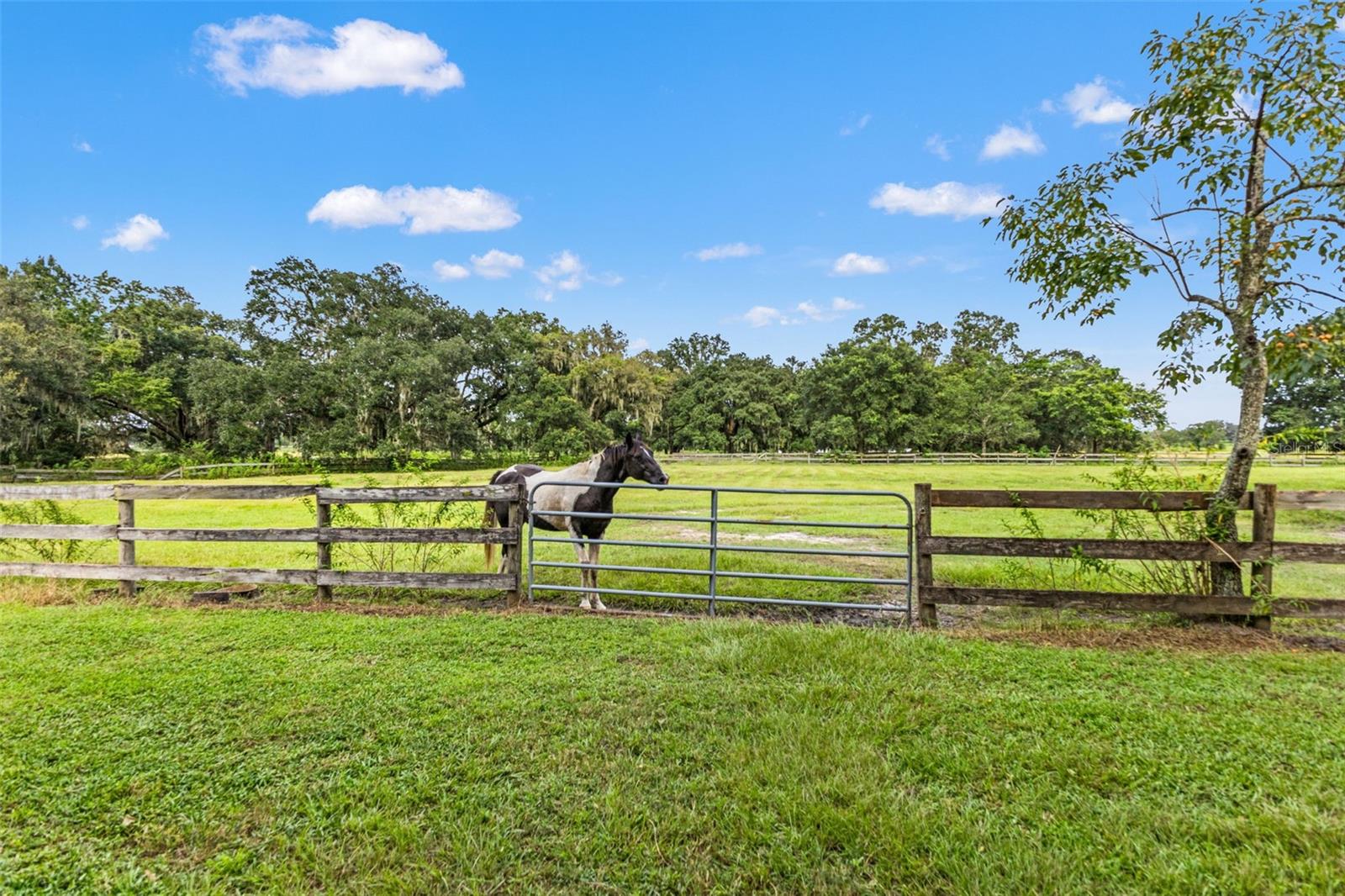 Brooksville, Florida, 34602, United States, 4 Bedrooms Bedrooms, ,6 BathroomsBathrooms,Residential,Active,1919396
