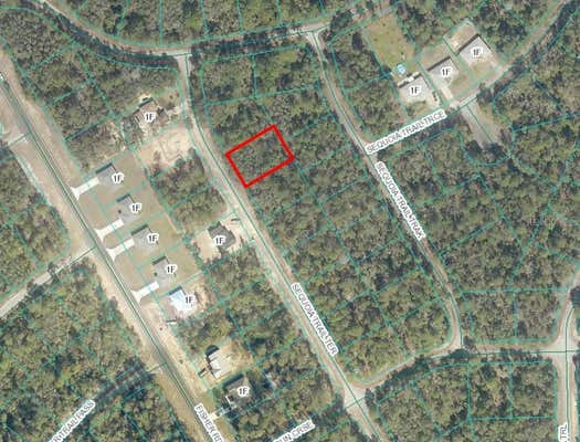 0 SEQUOIA TRAIL TERRACE, OCKLAWAHA, FL 32179 - Image 1