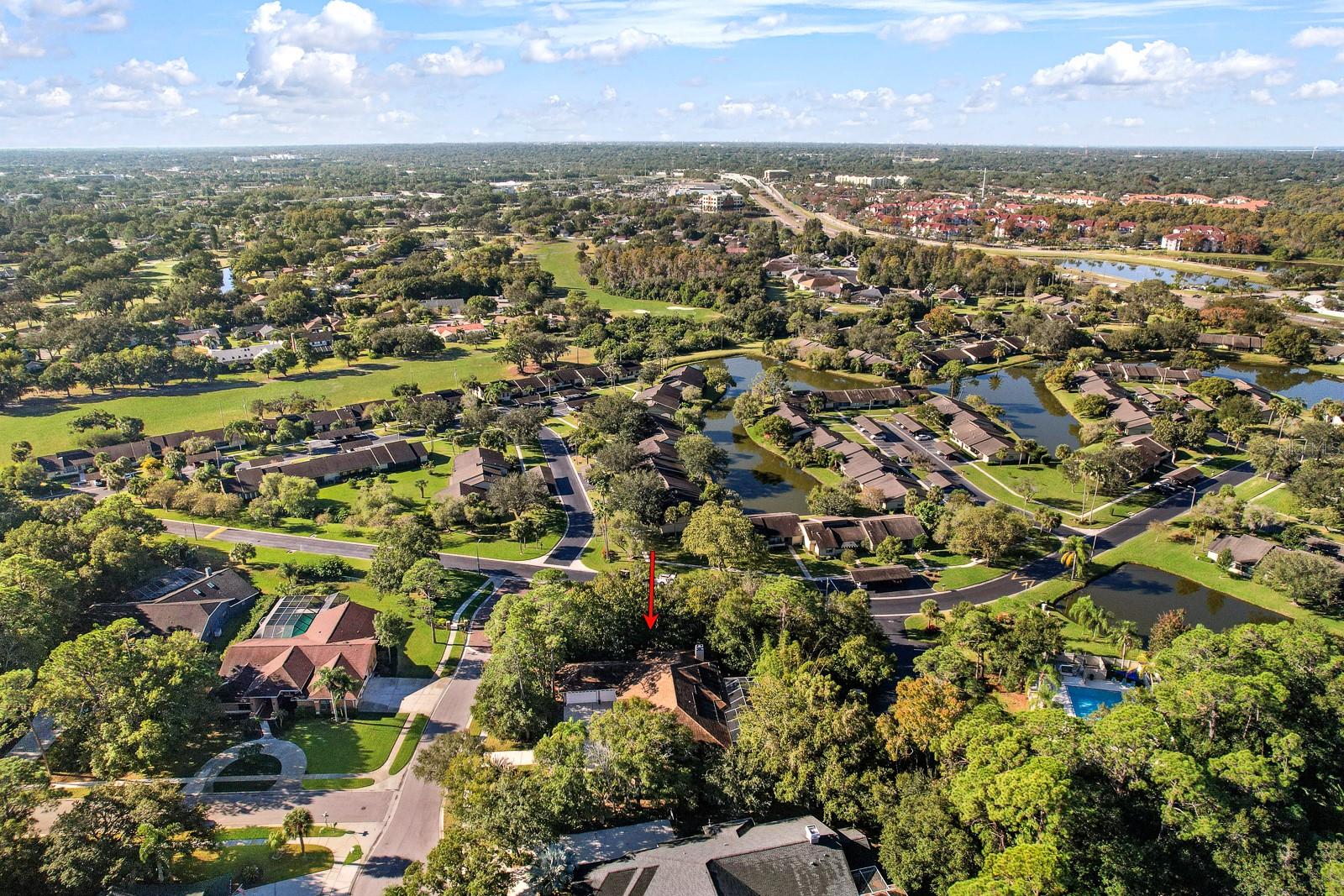 Oldsmar, Florida, 34677, United States, 5 Bedrooms Bedrooms, ,4 BathroomsBathrooms,Residential,Active,2009416