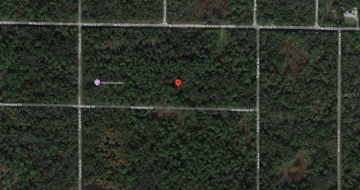 GRINDSTONE DR, WEBSTER, FL 33597, photo 1