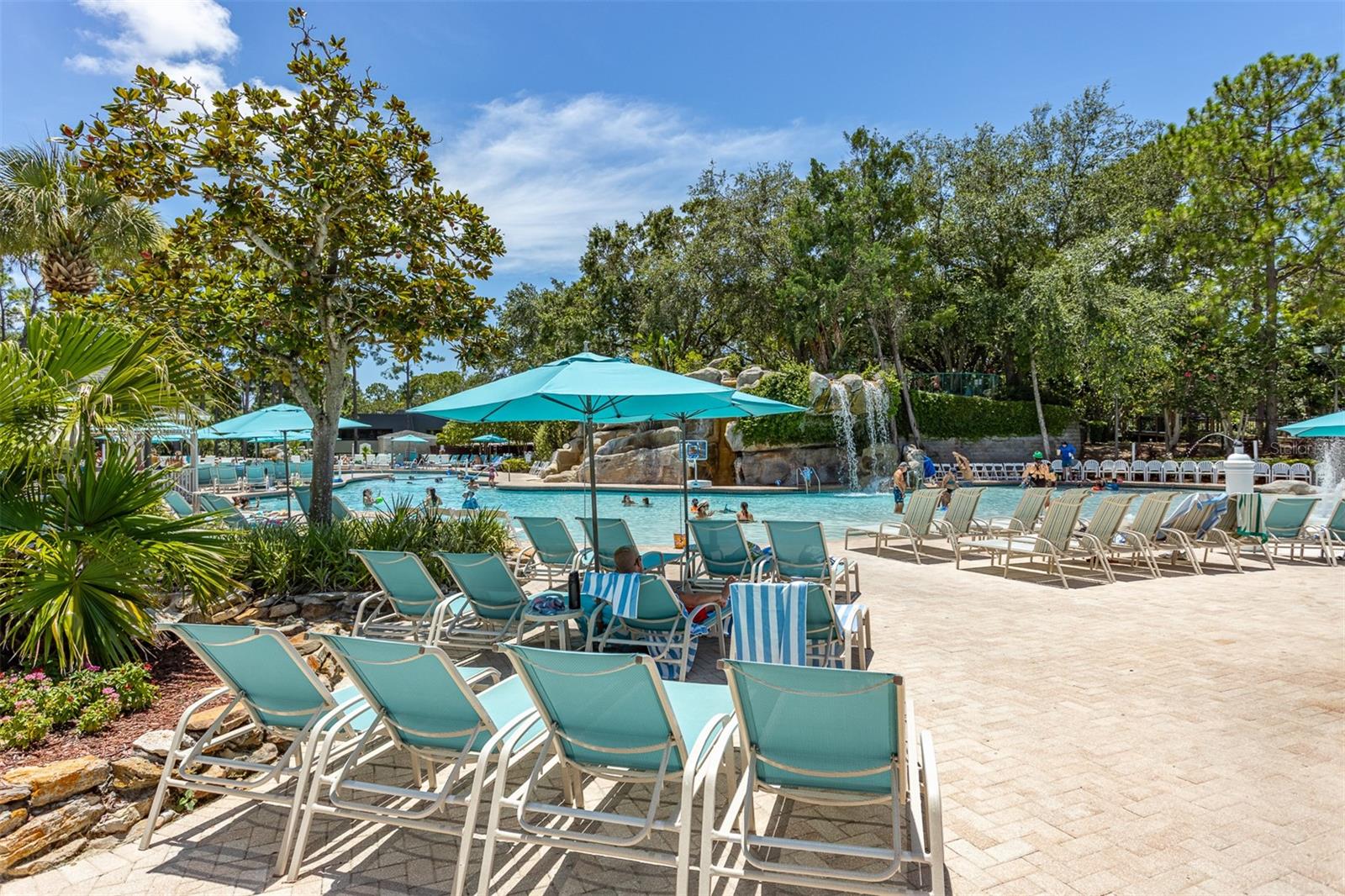 Palm Harbor, Florida, 34683, United States, 4 Bedrooms Bedrooms, ,3 BathroomsBathrooms,Residential,Active,1905355