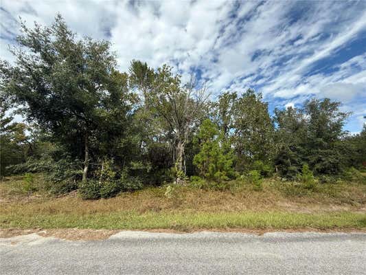 000 MALAUKA LOOP TRACK, OCKLAWAHA, FL 32179 - Image 1