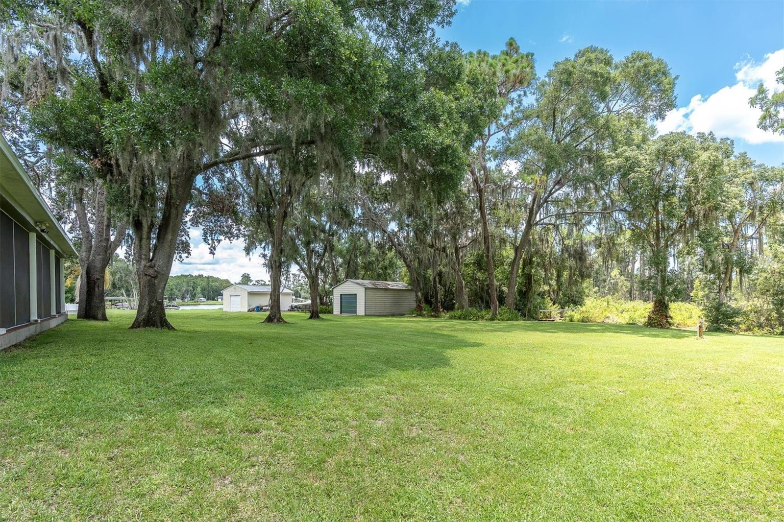Odessa, Florida, 33556, United States, 4 Bedrooms Bedrooms, ,3 BathroomsBathrooms,Residential,Active,1871641