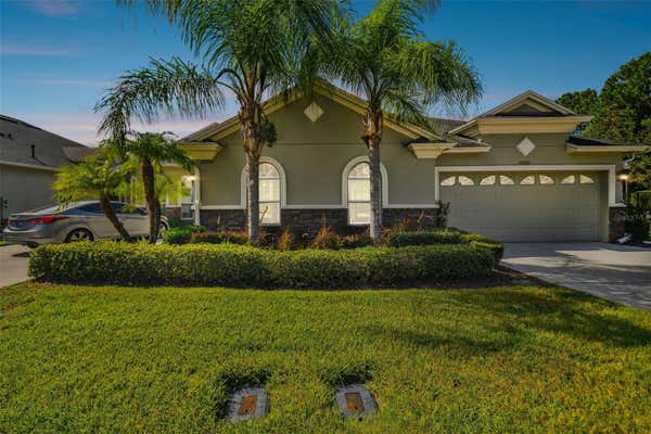 20610 AMANDA OAK CT, LAND O LAKES, FL 34638 - Image 1