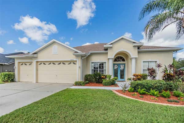 22531 EAGLES WATCH DR, LAND O LAKES, FL 34639 - Image 1