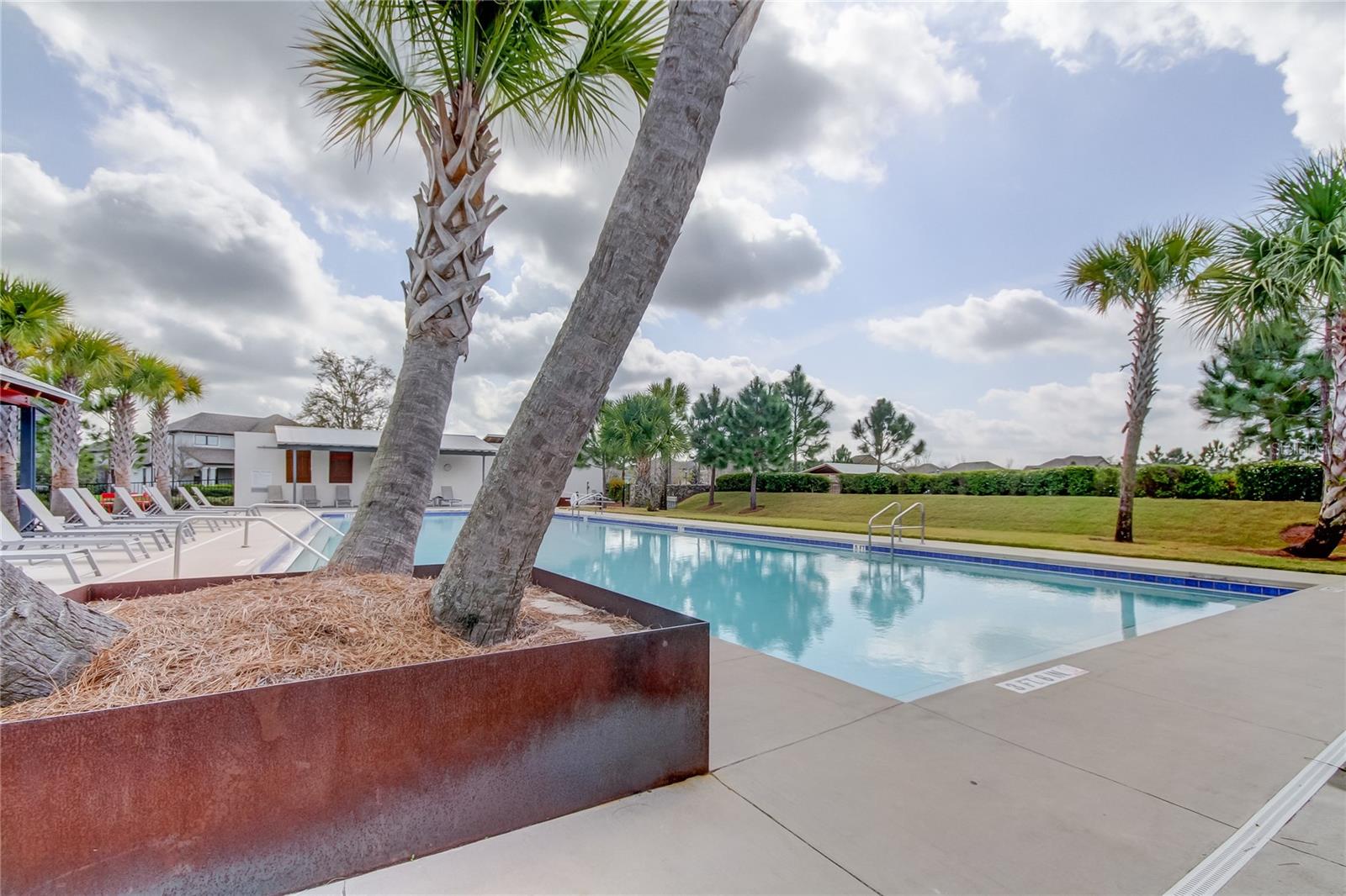 Odessa, Florida, 33556, United States, 5 Bedrooms Bedrooms, ,4 BathroomsBathrooms,Residential,Active,2045800