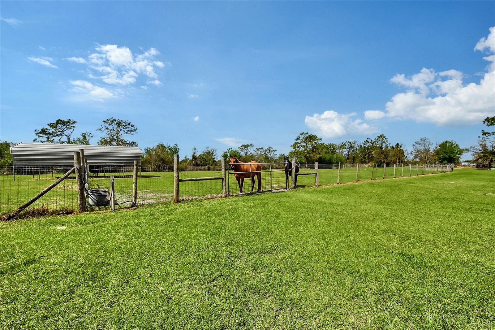 Bradenton, Florida, 34211, United States, 4 Bedrooms Bedrooms, ,3 BathroomsBathrooms,Residential,Active,1730719