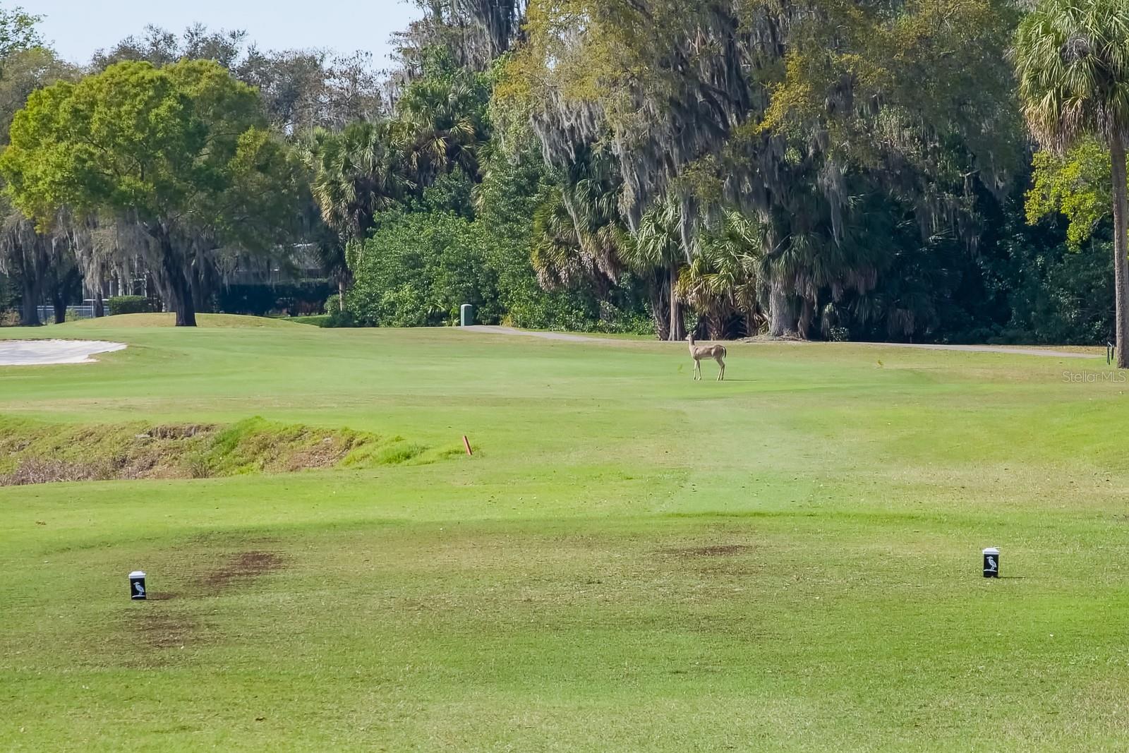 Oldsmar, Florida, 34677, United States, 5 Bedrooms Bedrooms, ,4 BathroomsBathrooms,Residential,Active,2009416