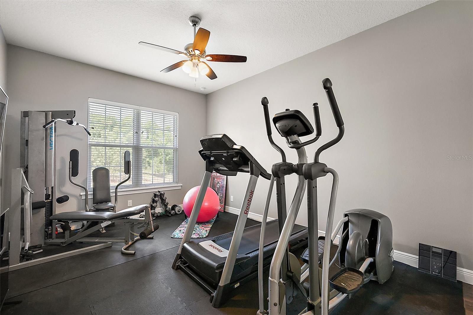 Lady Lake, Florida, 32159, United States, 5 Bedrooms Bedrooms, ,3 BathroomsBathrooms,Residential,Active,1985870