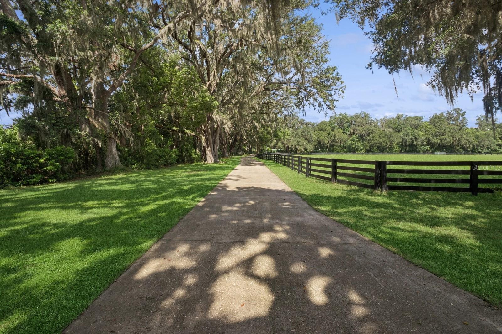 Fruitland Park, Florida, 34731, United States, 7 Bedrooms Bedrooms, ,6 BathroomsBathrooms,Residential,Active,1894791