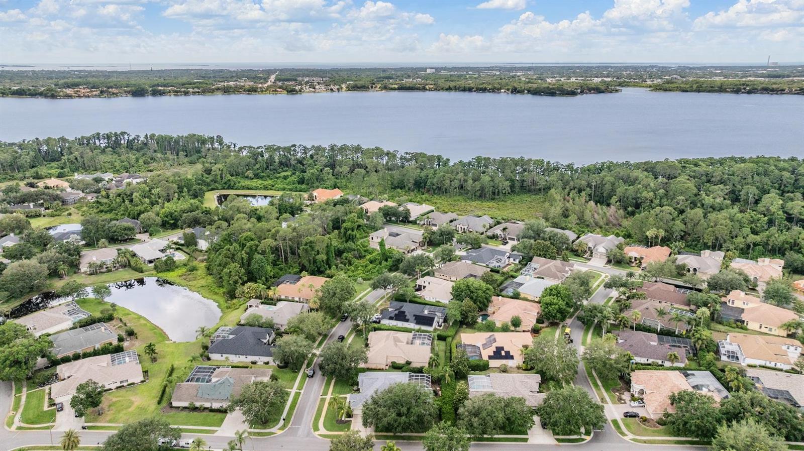 Palm Harbor, Florida, 34685, United States, ,4 BathroomsBathrooms,Residential,Active,1810371