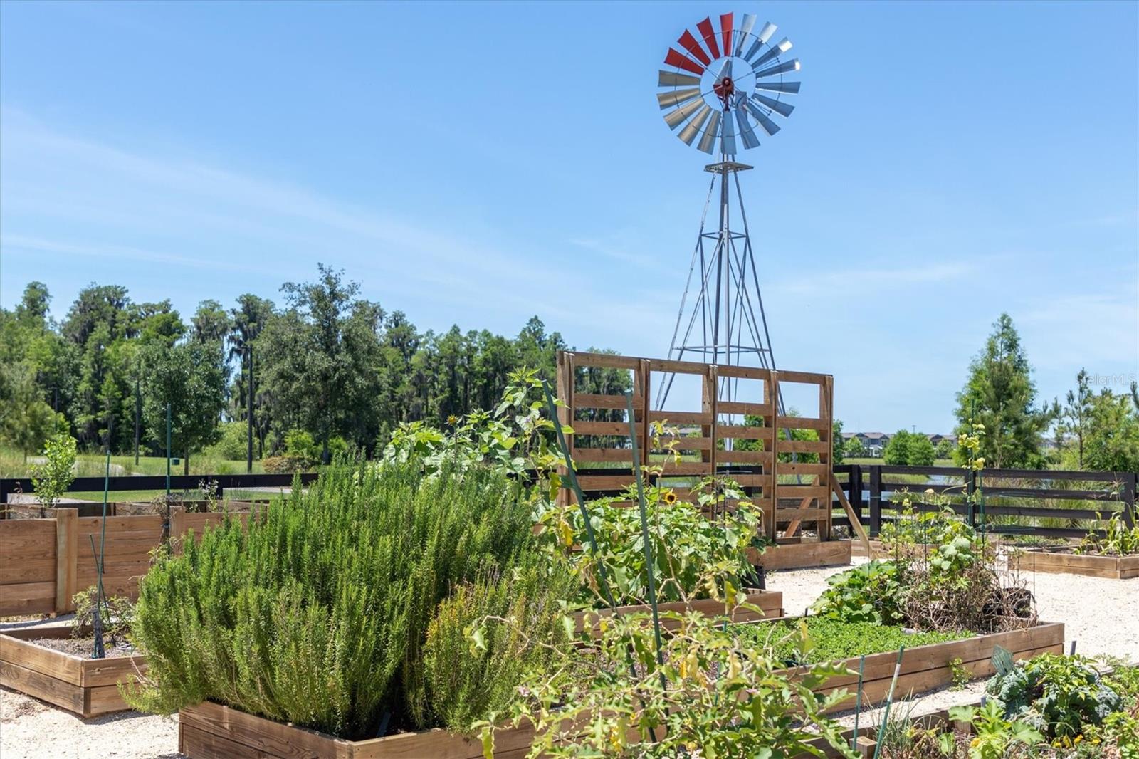 Odessa, Florida, 33556, United States, 4 Bedrooms Bedrooms, ,3 BathroomsBathrooms,Residential,Active,1877812